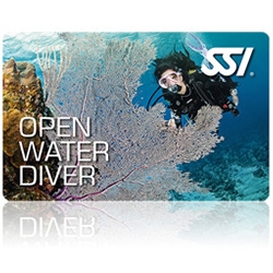 Open Water Diver Kurse